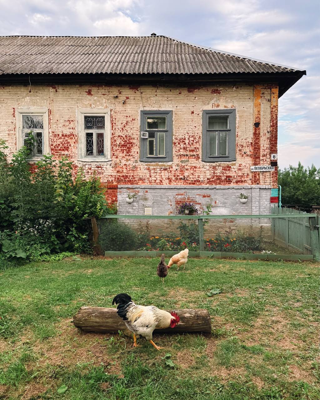 Село Крапивна