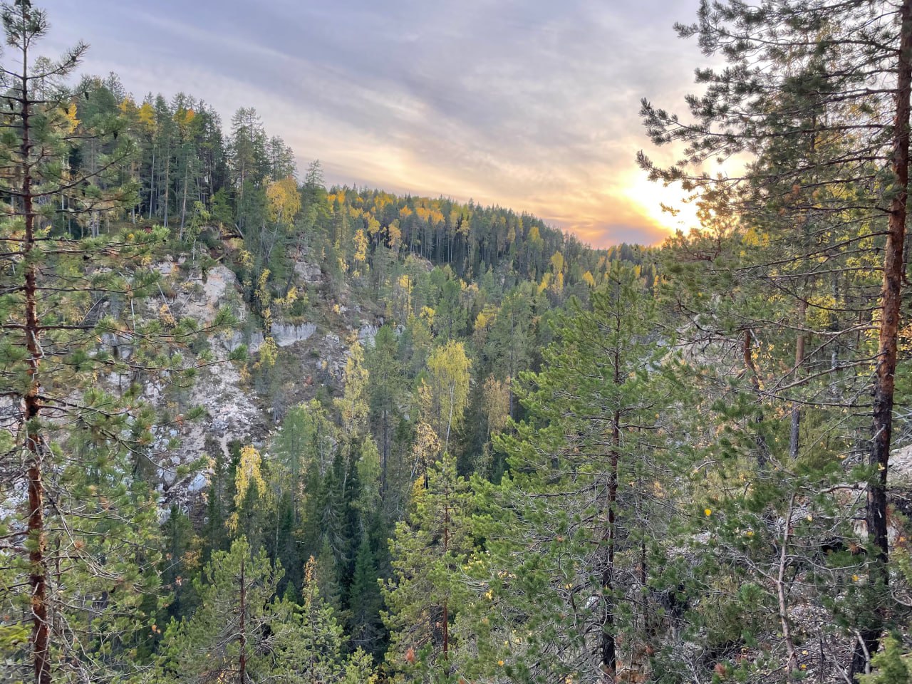 Тараканий Лог