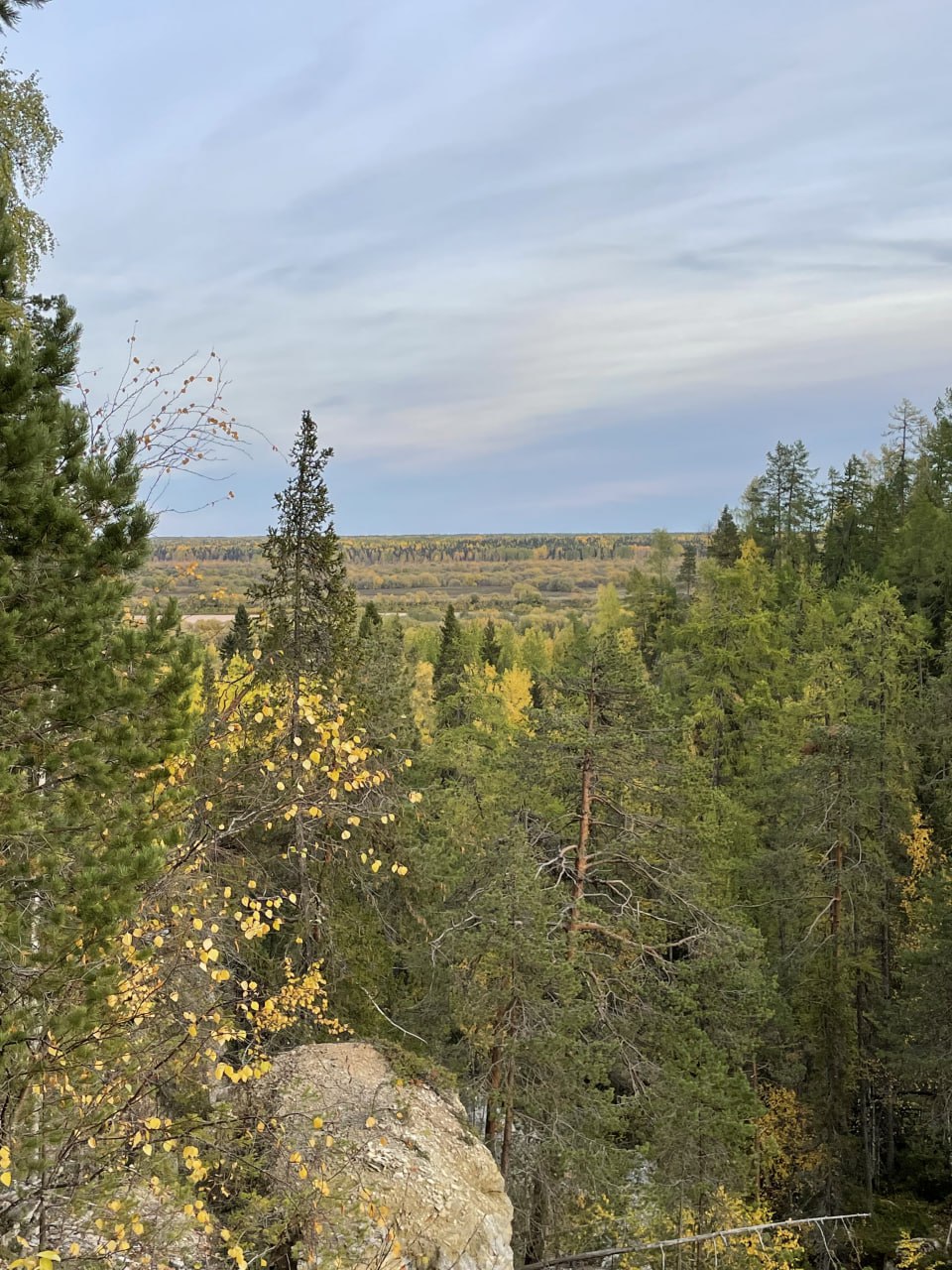 Тараканий Лог