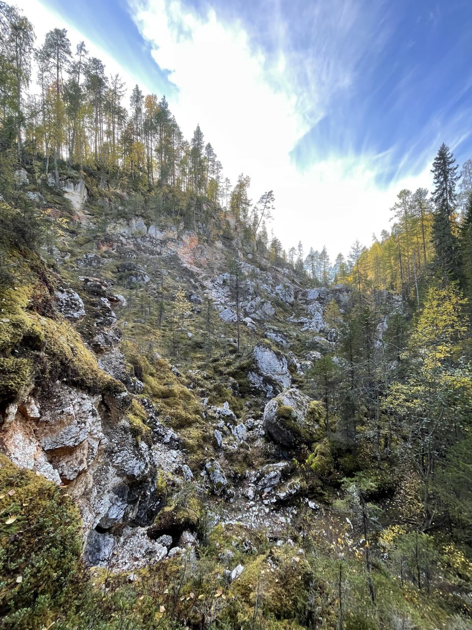 Тараканий Лог