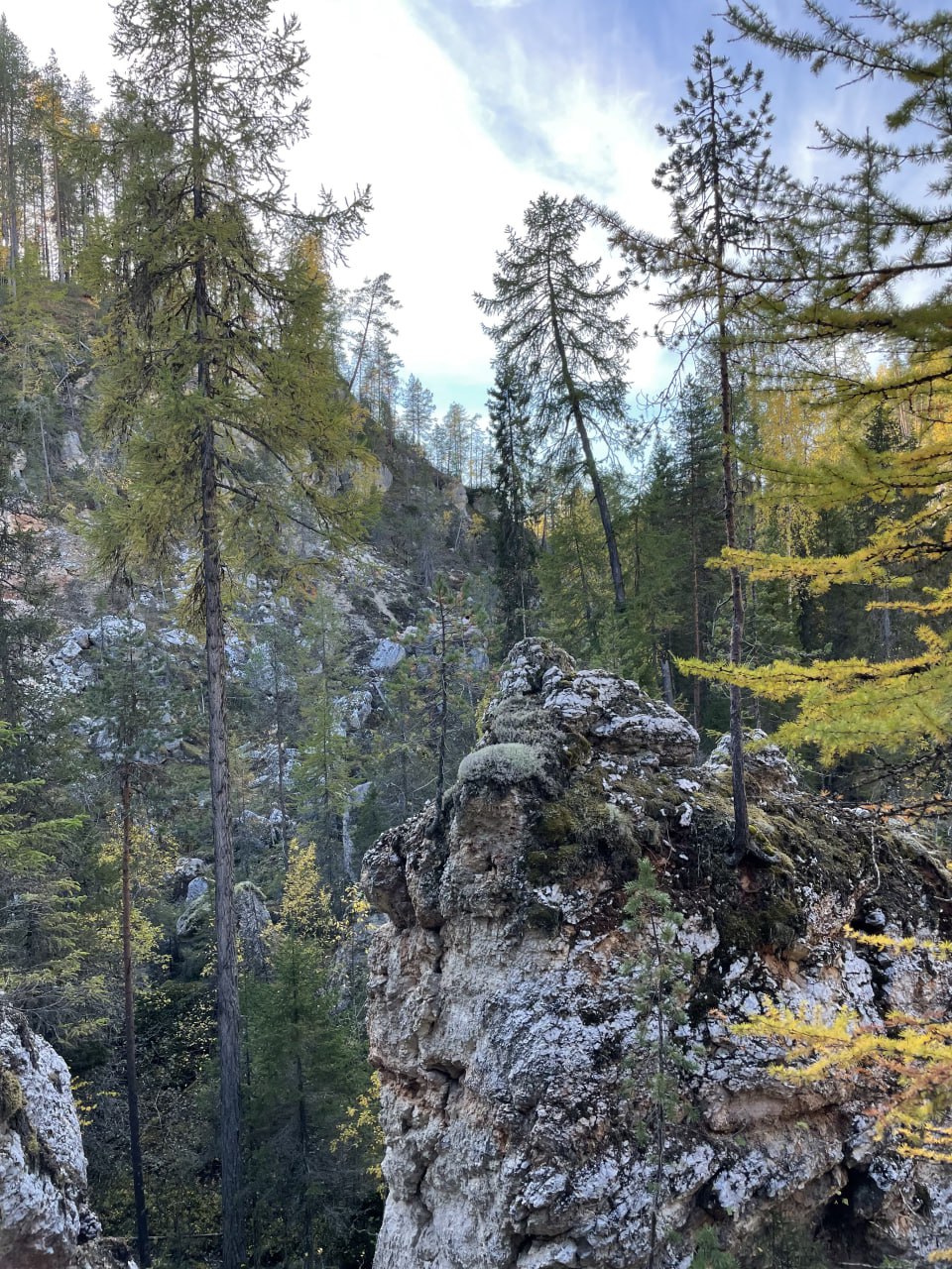 Тараканий Лог