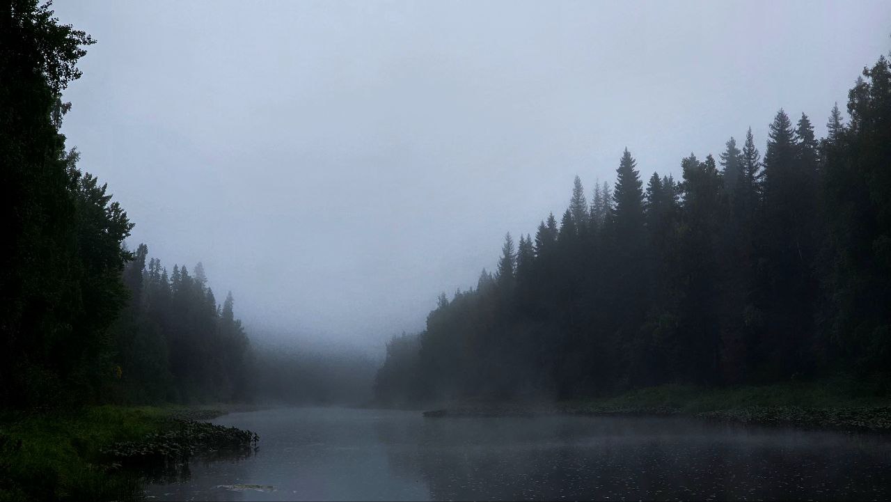 Река Койва