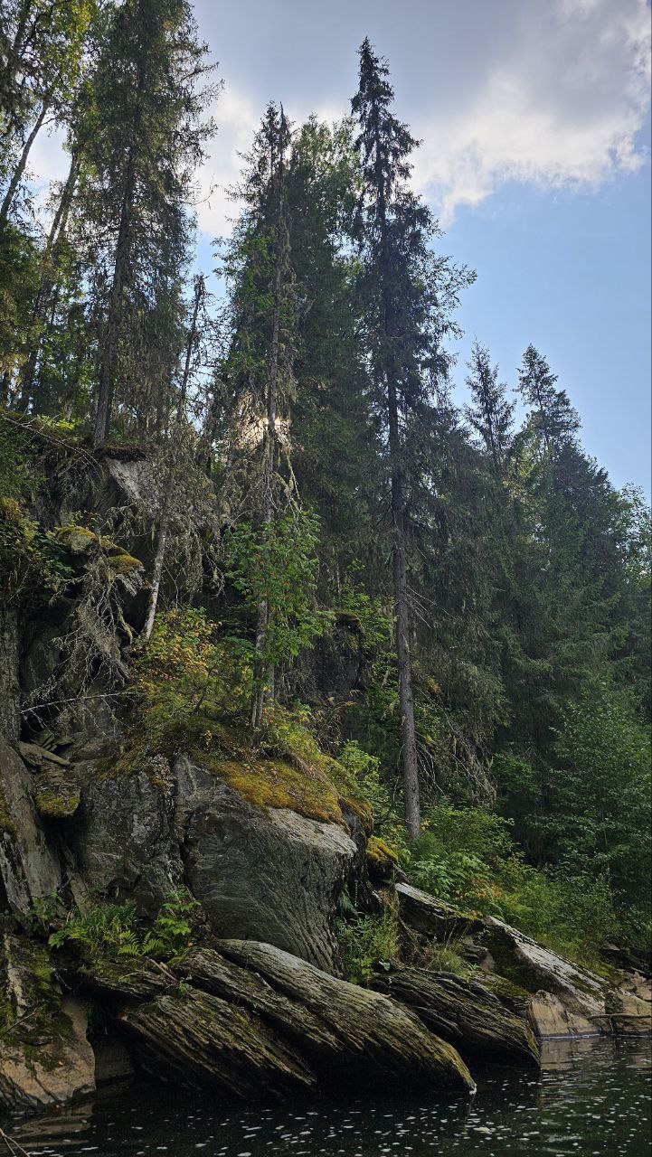 Река Койва