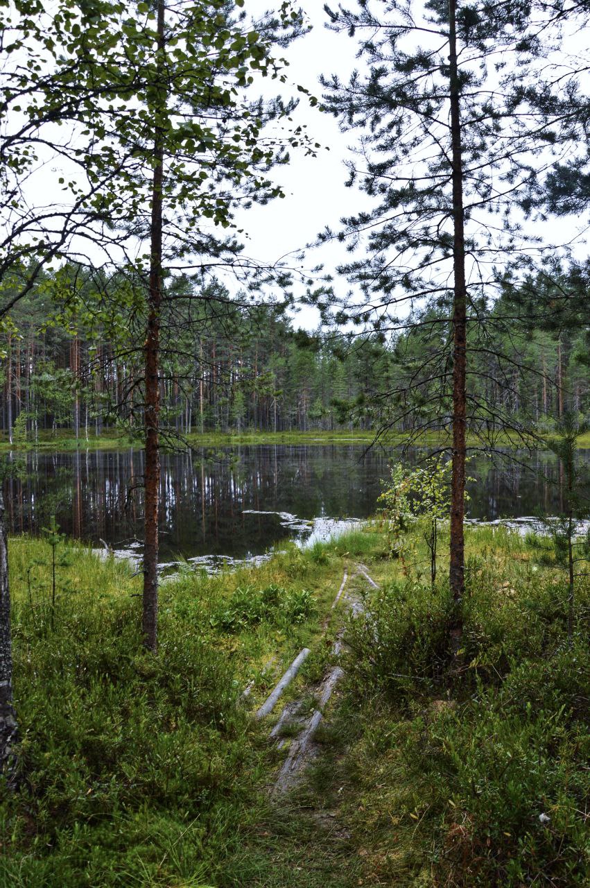 Долина зайцев