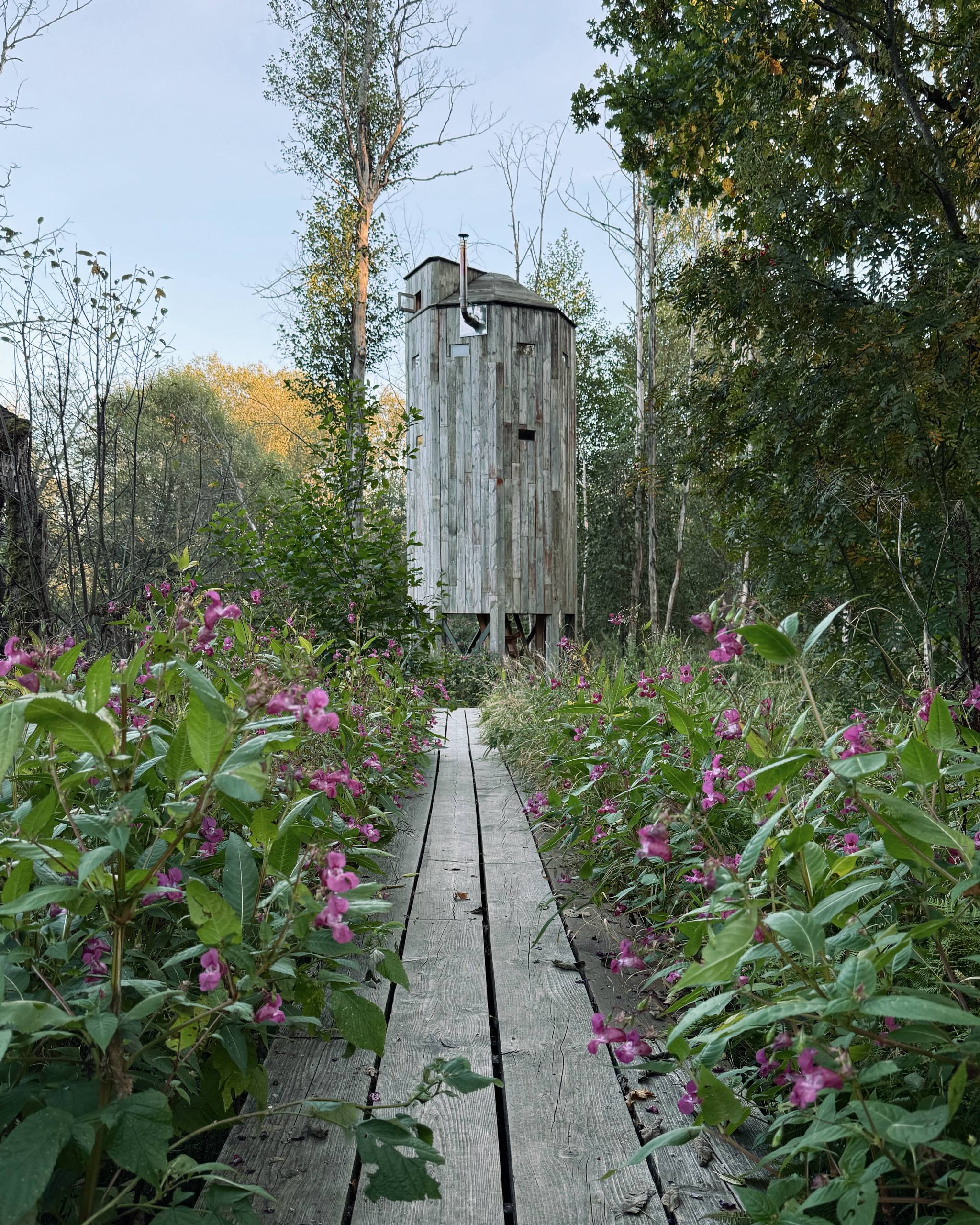 Парк Бродского