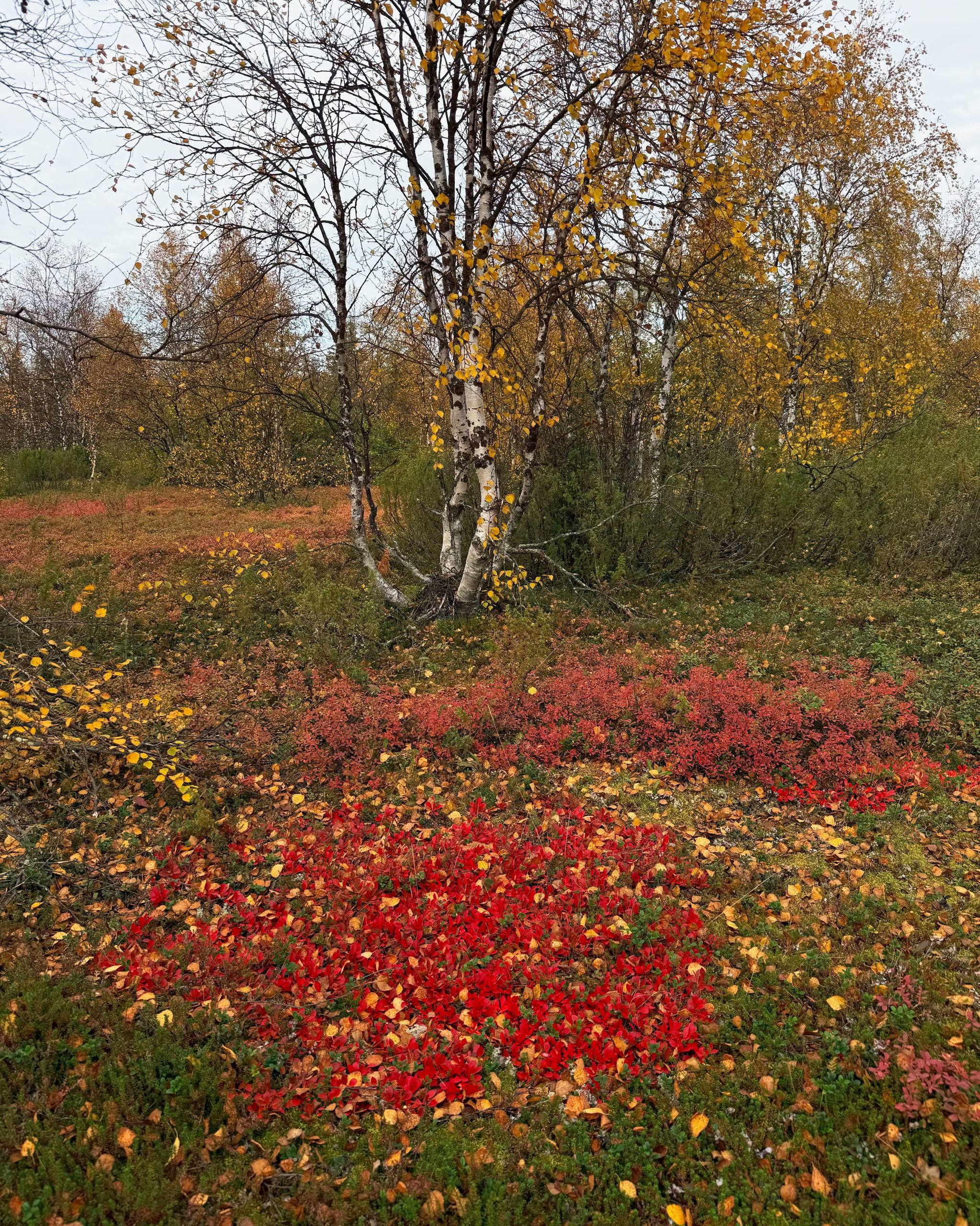 Большая Пустозерская тропа