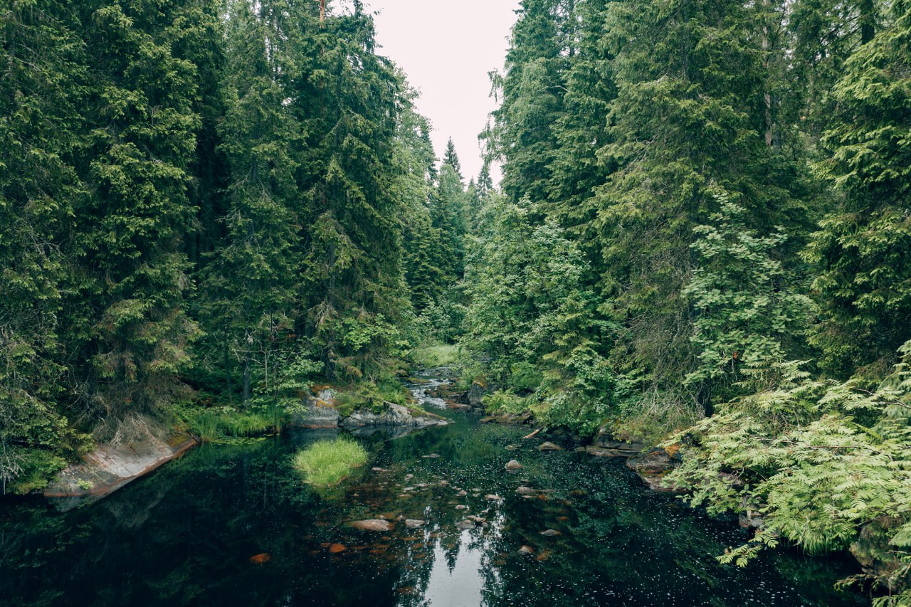 Секретный водопад в Карелии