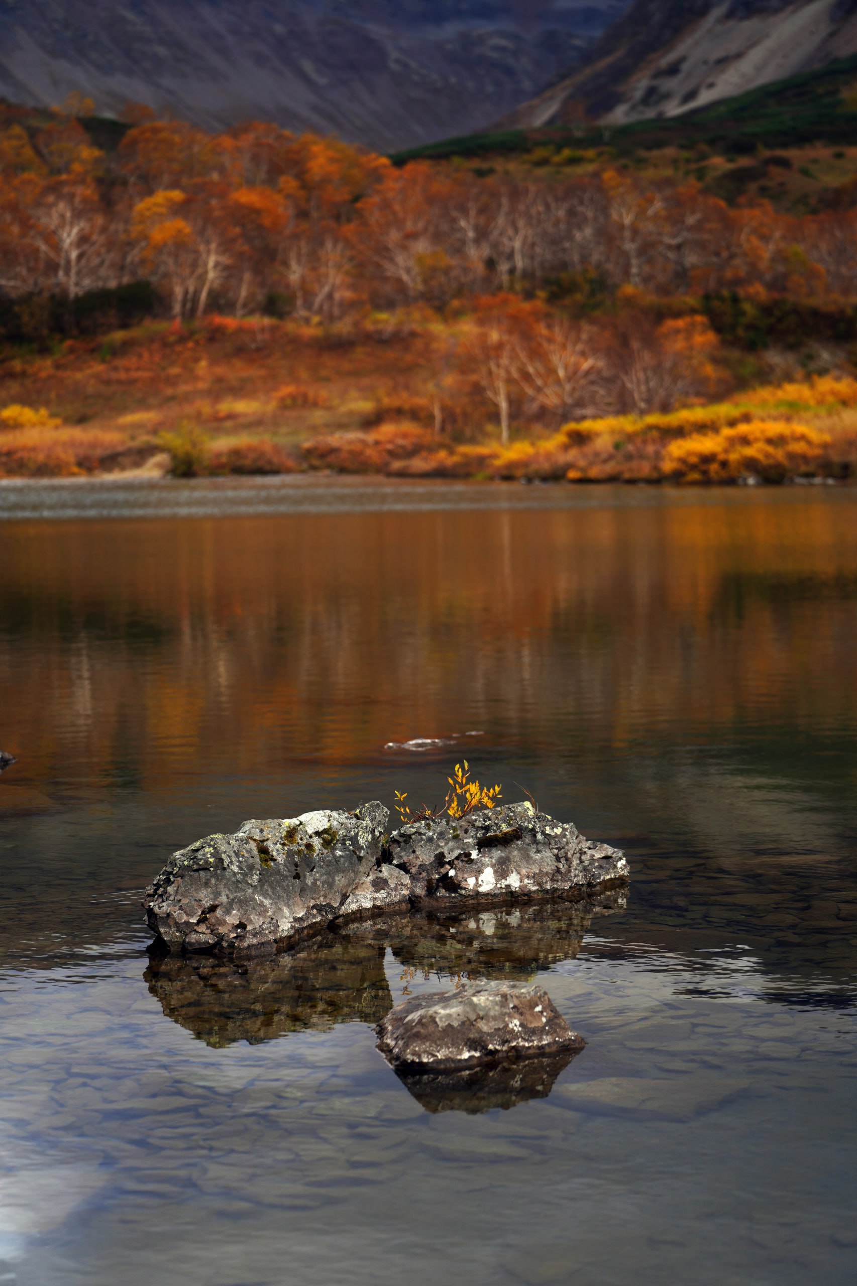 Камчатский край